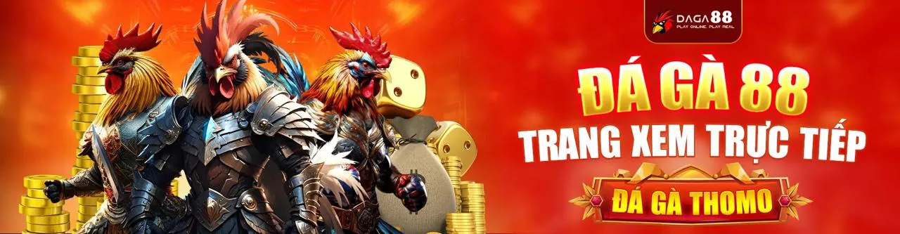 Người chơi đang tham gia game bắn cá và hình ảnh đấu gà trực tiếp