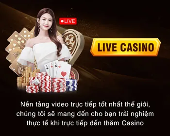 Giấy phép và quy định lulu88 app