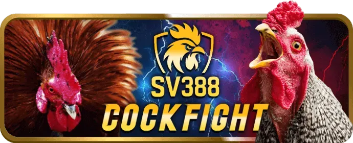 Chương trình VIP và phần thưởng độc quyền lulu88 app